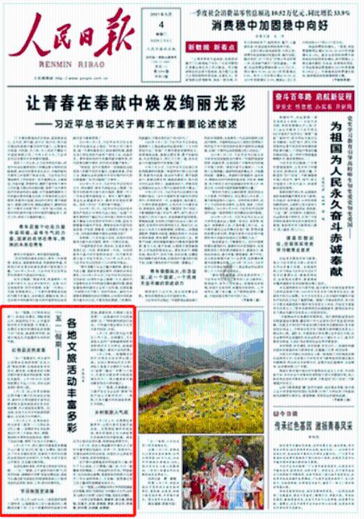 救援采蜜人